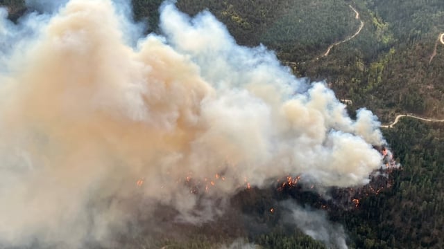A wildfire near Peachland, B.C., has prompted an evacuation order for 325 addresses Thursday.