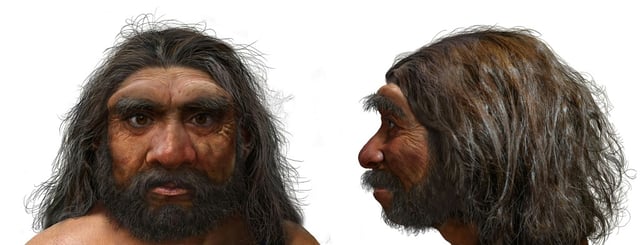 Ein digitale Rekonstruktion eines eine Million Jahre alten Schädels könnte das bisherige Wissen über die menschliche Evolution auf den Kopf stellen: Die Rekonstruktion des 1990 in China entdeckten zertrümmerten Schädels deutet laut einer am Freitag in der Zeitschrift "Science" veröffentlichten Studie darauf hin, dass sich der Homo sapiens möglicherweise 400.000 Jahre früher als bisher angenommen von anderen menschlichen Vorfahren abgespaltet hat.
