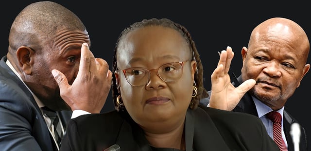 Illustrative image | KwaZulu-Natal Police Commissioner Lieutenant General Nhlanhla Mkhwanazi. (Photo: Felix Dlangamandla) | Advocate Elaine Harrison KZN's Director of Public Prosecutions. (Photo: Screengrab) | Suspended police minister Senzo Mchunu. (Photo: Phando Jikelo / RSA Parliament)