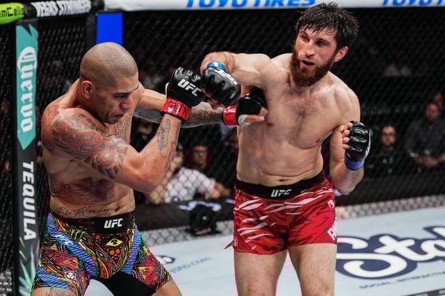 (via Zuffa LLC)