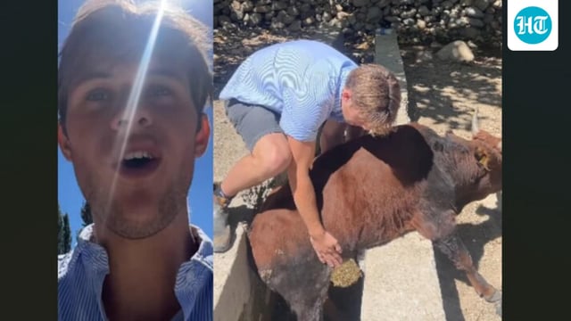 An Australian man went viral after saving a cow stuck in a drain in India.