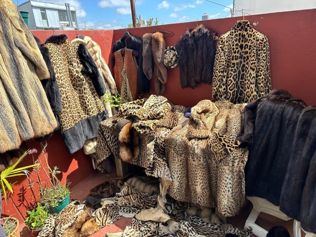 Parte de las prendas encontradas en la vivienda de Villa Urquiza