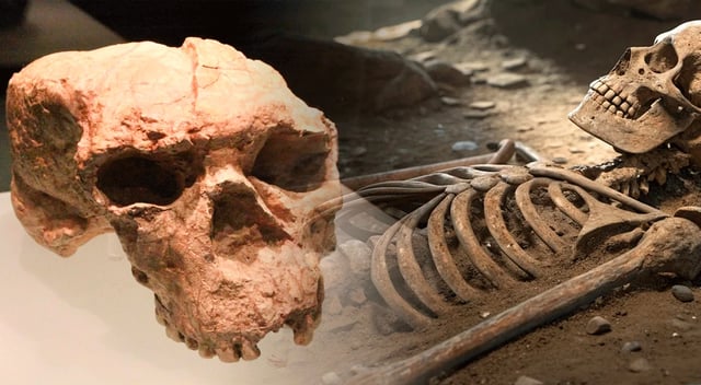 China desafía la historia de la evolución humana con el hallazgo de un cráneo de un millón de años de antigüedad