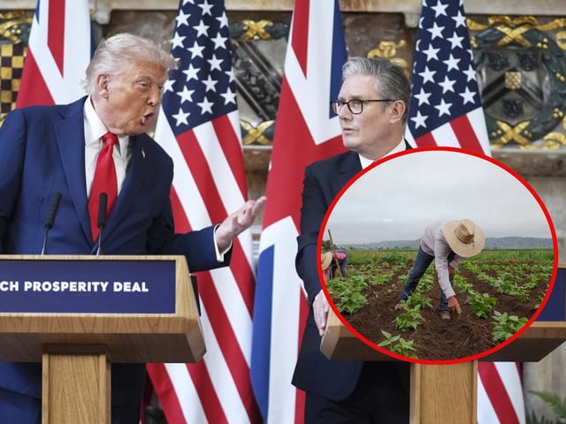 La estrategia de Trump contra la inmigración ilegal inspira ahora a Starmer, quien propone tarjetas digitales en Reino Unido para controlar trabajo y vivienda. | Crédito: AP/Canva