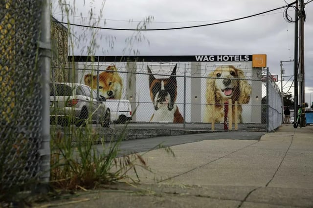 The terms of what Wag Hotels must do to stay in compliance were revealed this week, prosecutors said.