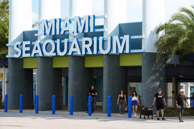 Visitors exit the Miami Seaquarium, Thursday, March 7, 2024, in Key Biscayne, Fla. The Miami Seaquarium, an old-Florida style tourist attraction that was home to Lolita, the beloved Orca that died last year, is being evicted from the waterfront property it leases from Miami-Dade County. (AP Photo/Marta Lavandier)