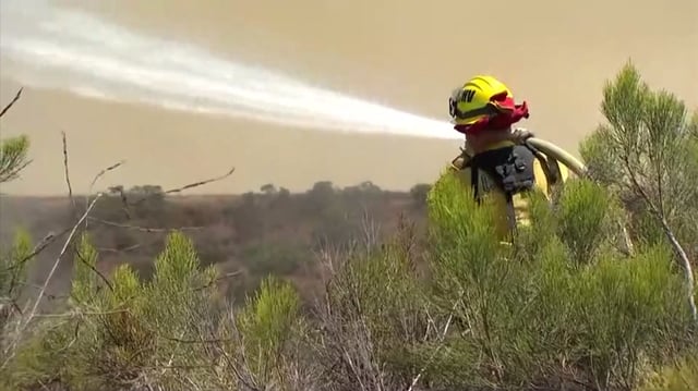 Cal Fire firefighter.