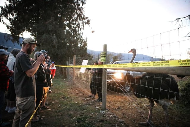 Karen Espersen, centre, the co-owner of Universal Ostrich Farms, speaks with supporters with her daughter, Katie Pasitney, at the farm in Edgewood, B.C., on Monday, Sept. 22, 2025. THE CANADIAN PRESS/Aaron Hemens
