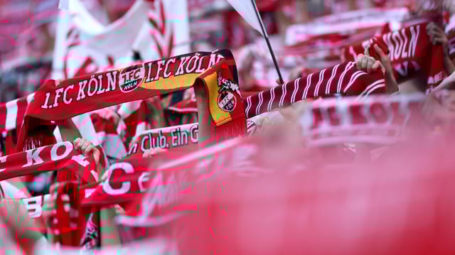 Fans des 1. FC Köln