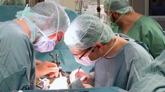 Im Universitätsklinikum Leipzig wird eine Niere transplantiert