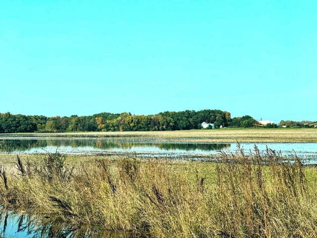  Another image showing the affects heavy rains in the Niverville area have had on some fields.