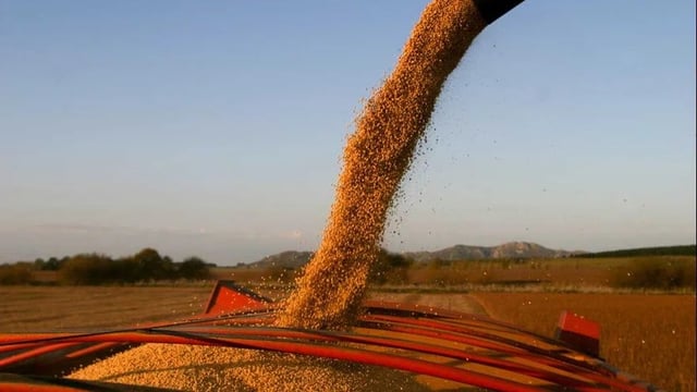 La reacción del campo a la vuelta de las retenciones a los granos.