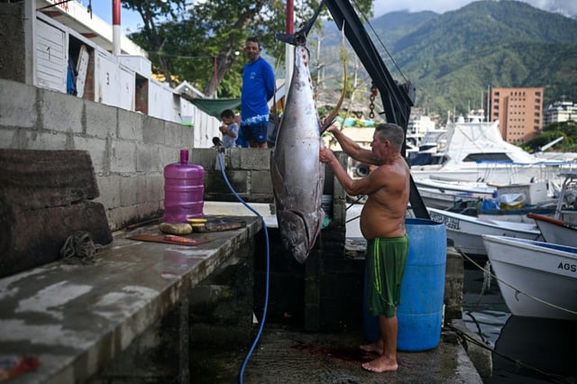Un pêcheur nettoie un thon dans un port de Caraballeda, dans l'État de La Guaira, au Venezuela, le 24 septembre 2025