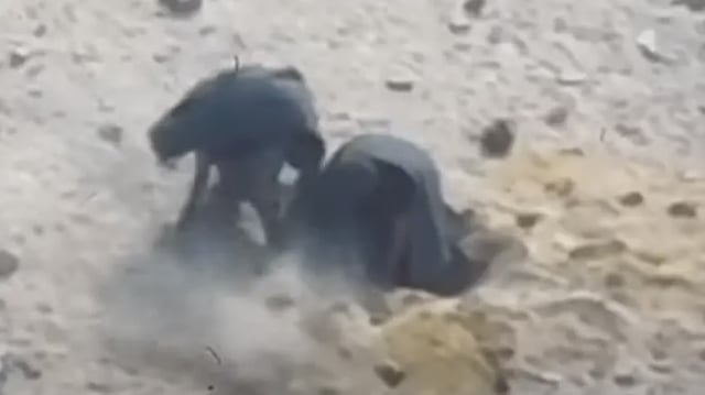 Israel National News