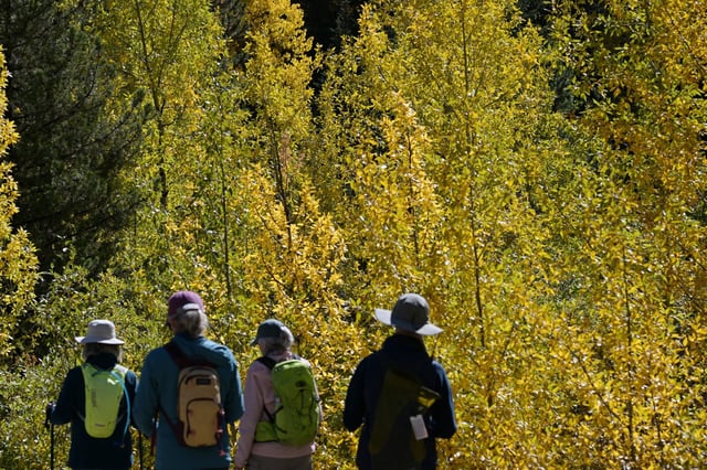 Hikers enjoy fall colors at Guanella Pass in Georgetown, Colorado on Wednesday, Sept. 24, 2025. (Photo by Hyoung Chang/The Denver Post)