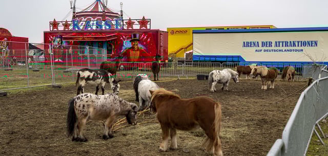 „Circus Paul Busch“ zu Gast in Oberhausen (Bild aus dem Jahr 2020)