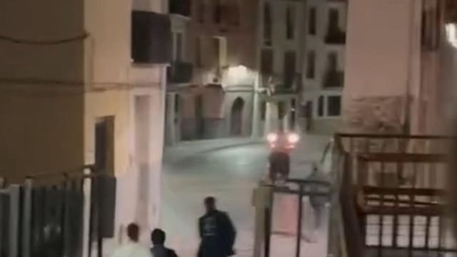 El astado se ha desplazado hasta una zona de vegetación en los aledaños del municipio
