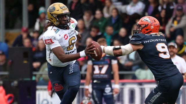 Die Footballer der Dresden Monarchs haben sich ihren Traum erfüllt, stehen im Heimspiel-Finale um den GFL-Bowl.