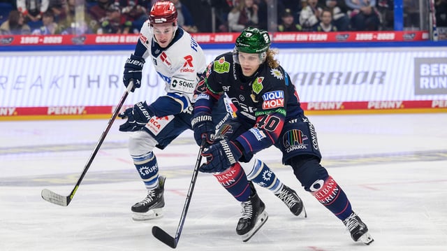 Eisbaeren_Berlin