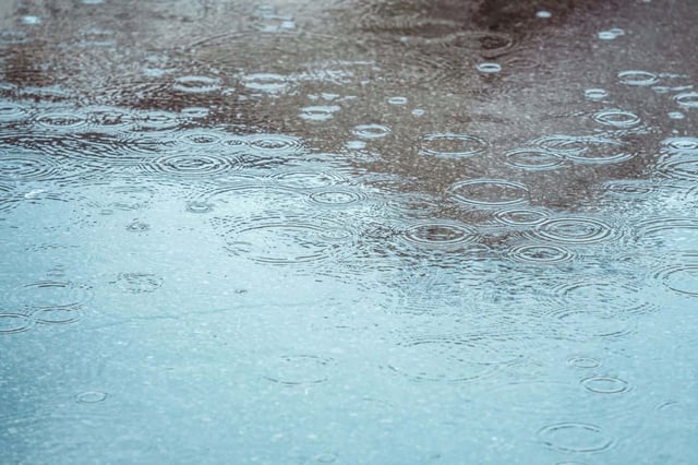 Picture: iStock