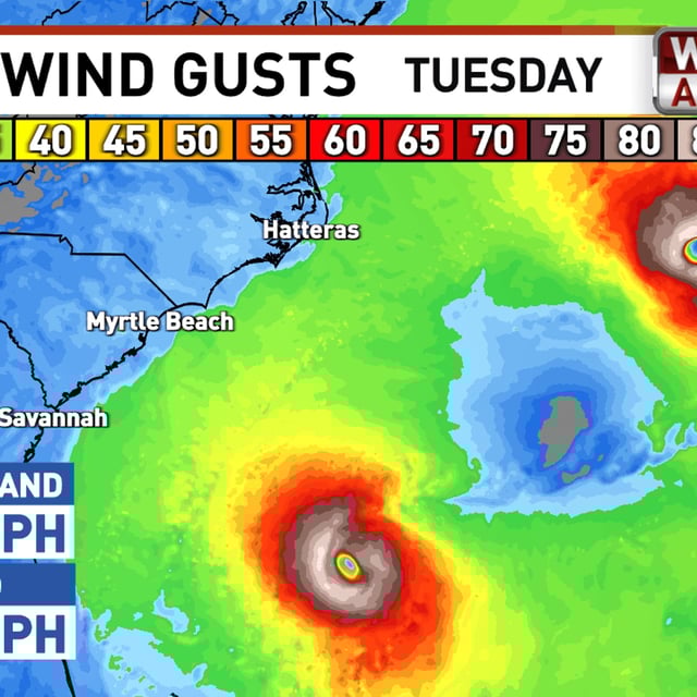 Wind Gust Forecast{p}{/p}