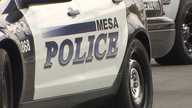 Mesa Police Department