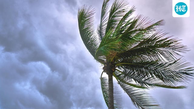 Tropical Depression Nine is expected to become Hurricane Imelda, potentially tracking along Florida’s east coast Monday and reaching the Carolinas by midweek.