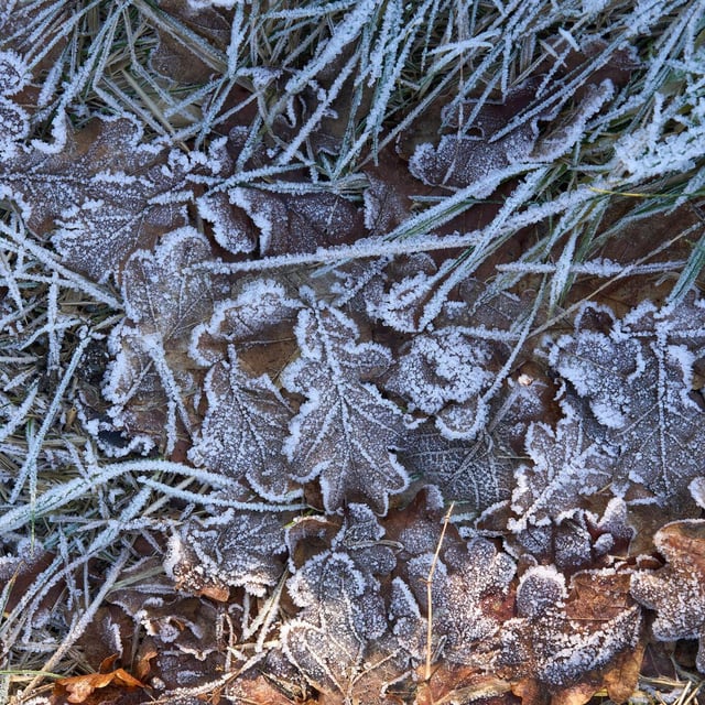 Bodenfrost-Alarm in Franken: So wird das Wetter diese Woche