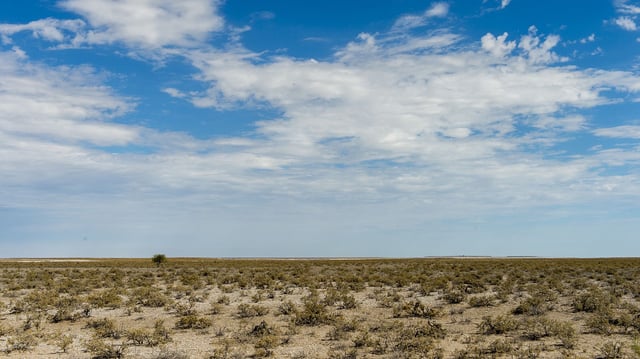A view of the Etosha National Park in northwestern Namibia