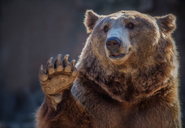 “There is a risk that Goldilocks meets one of the three bears,” Goldman says.
