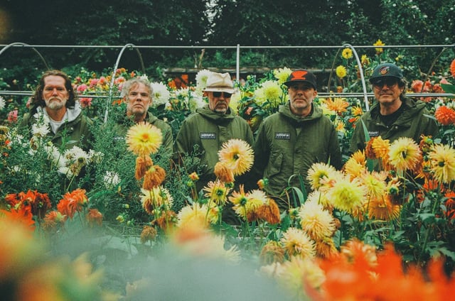 Super Furry Animals return to announce their first live dates in a decade