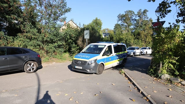 Ein entsprungenes Känguru sorgt für Aufruhr in Berlin-Spandau.