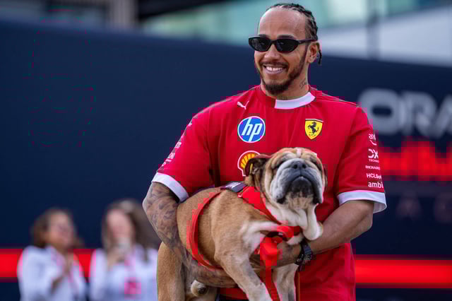 Seit 2013 war Roscoe an Lewis Hamiltons Seite gewesen.