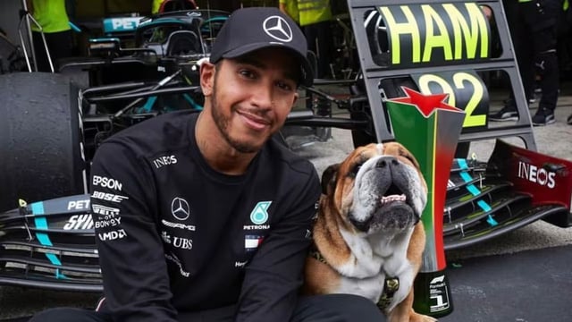 Lewis Hamilton despidio a su perro Roscoe