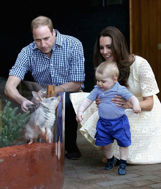 Prince George, Princess Kate and Prince William visited the Taronga Zoo in Sydney during their 2014 trip.