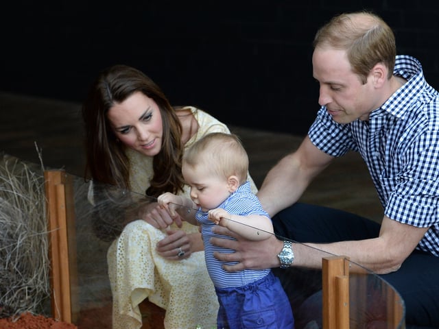 Princess Kate wearing a yellow dress kneeling next to Prince George, held by Prince William as he looks into a zoo enclosure