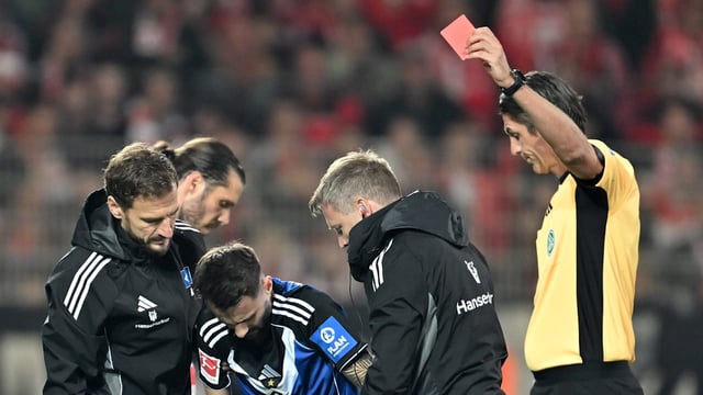 Der DFB-Kontrollausschuss beantragt zwei Spiele Sperre für HSV-Star Fabio Vieira.