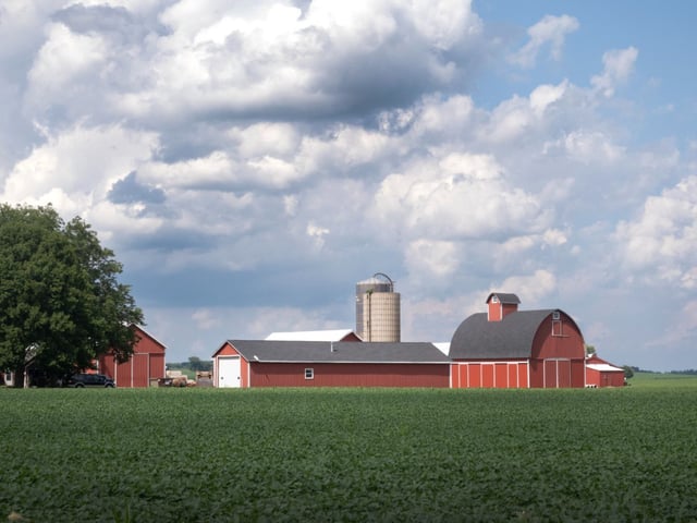 Soybeans grow on a farm on July 09, 2025 near Belvidere, Illinois