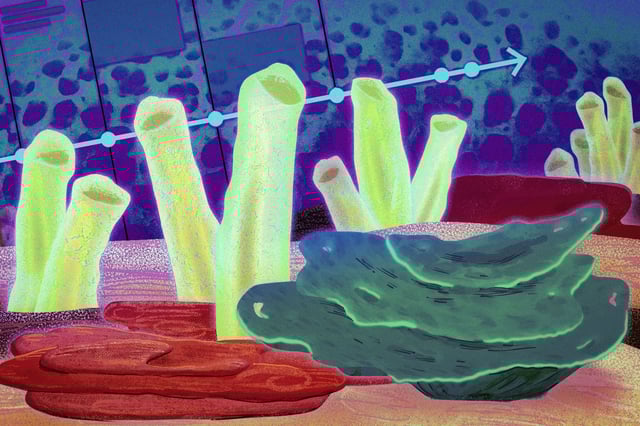 Some of the first animals on Earth were likely ancestors of the modern sea sponge, according to MIT geochemists who unearthed new evidence in very old rocks.