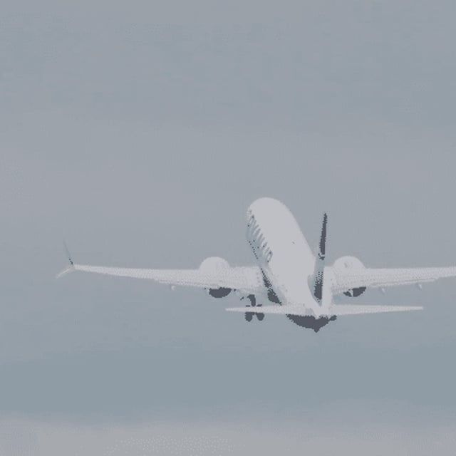 Toulouse : un avion dérouté en urgence pour évacuer des passagers ivres