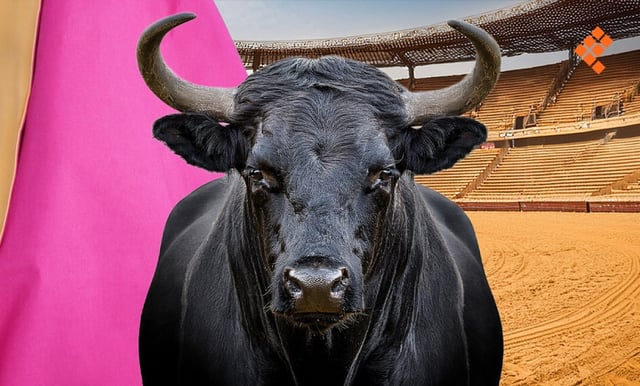 Niega juez federal amparo para corrida de toros en Morelia
