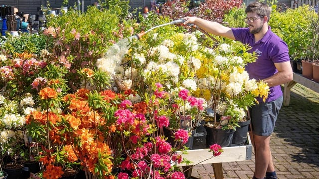 The warm summer weather drove up demand for, and the prices of, gardening products