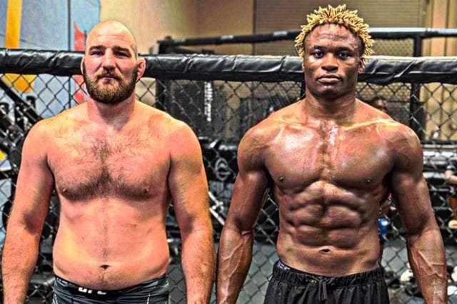 UFC 320
