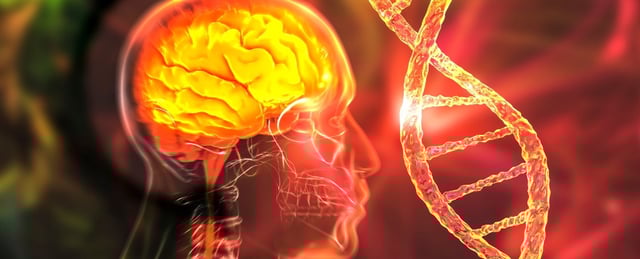 brain and dna