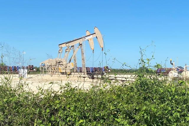 Oil pumps are seen, as oil and gas activity dips in the Eagle Ford Shale oil field due to the coronavirus disease (COVID-19) pandemic and the drop in demand for oil globally, in Karnes County, Texas, U.S., May 18, 2020. Picture taken May 18, 2020.  REUTERS/Jennifer Hiller/File Photo
