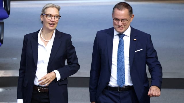 Berlin – Der typische AfD-Unterstützer ist deutscher Herkunft und lebt auf dem Land? Ei...