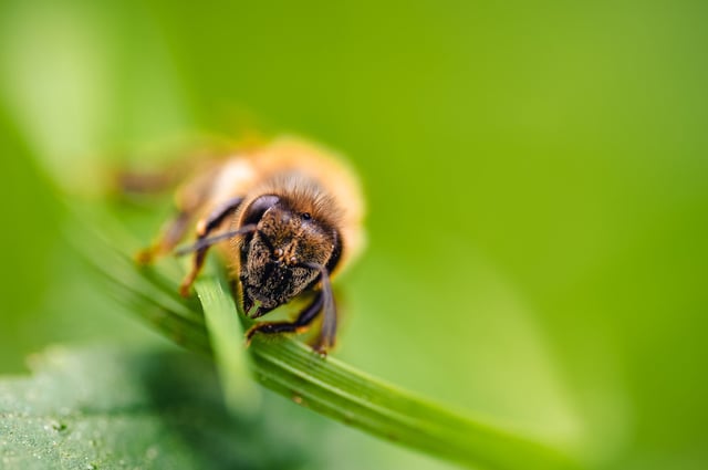 image: © Jan Rozehnal | iStock