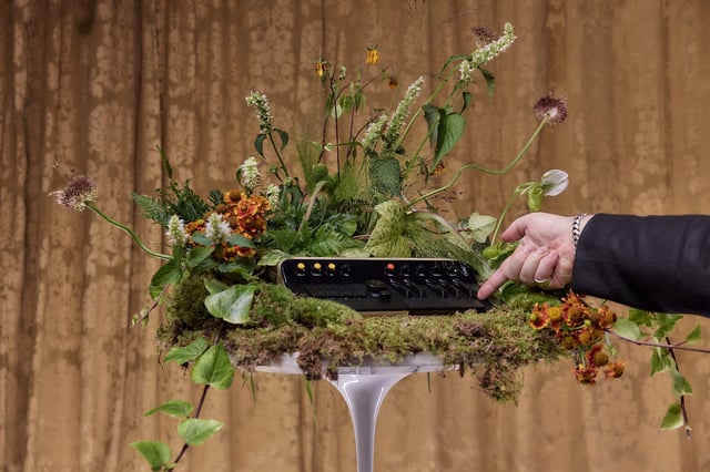 Matt Berry makes the case for The Orchid