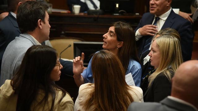 El Senado aprobó la reforma del estatuto del empleado estatal.