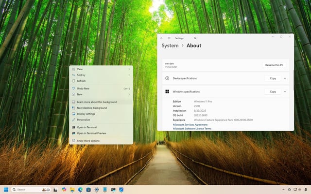Windows 11 Insider features for September
